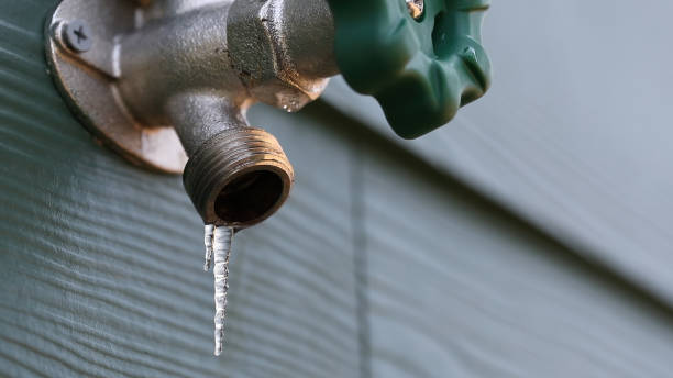 Best 24-Hour Plumber Near Me  in Alamo, GA